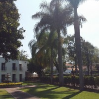 Hotel Hacienda Cocoyoc 3